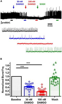 Presynaptic Mechanisms and KCNQ Potassium Channels Modulate Opioid Depression of Respiratory Drive